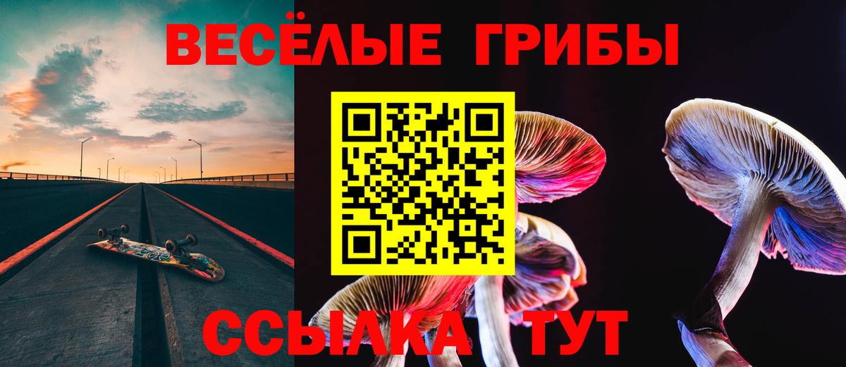 Псилоцибиновые грибы прущие грибы Гагарин